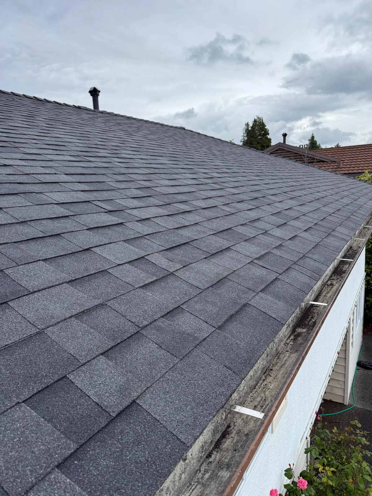 Asphalt shingles Langley BC