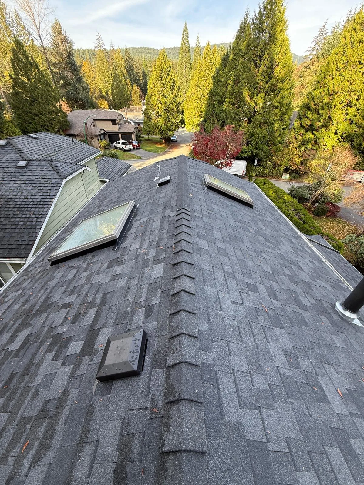 Roofing contractor Lower Mainland